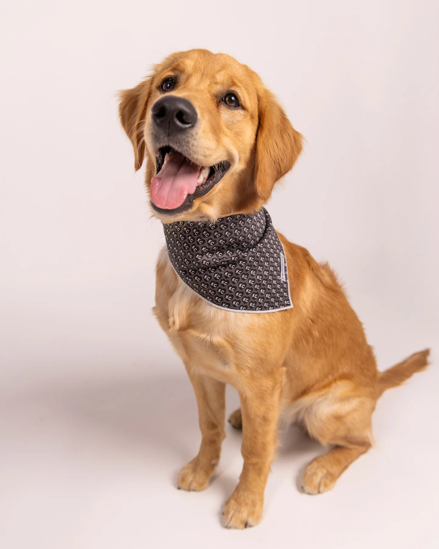 Black KC Heart Dog Bandana - Image 2
