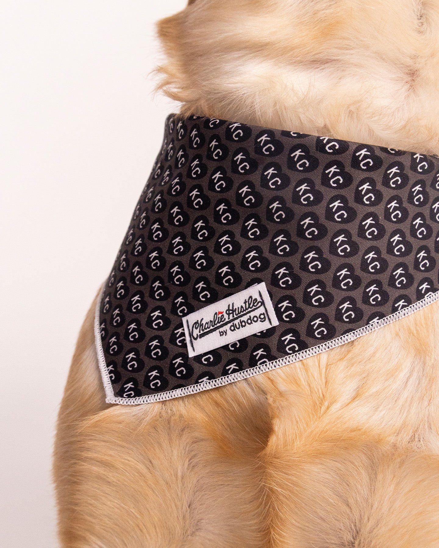 Black KC Heart Dog Bandana - Image 6