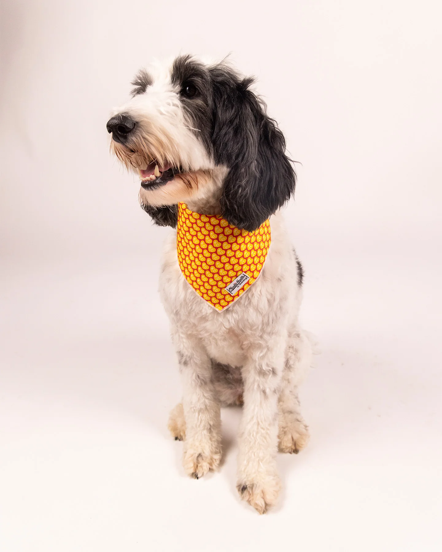 Gold KC Heart Dog Bandana - Image 2