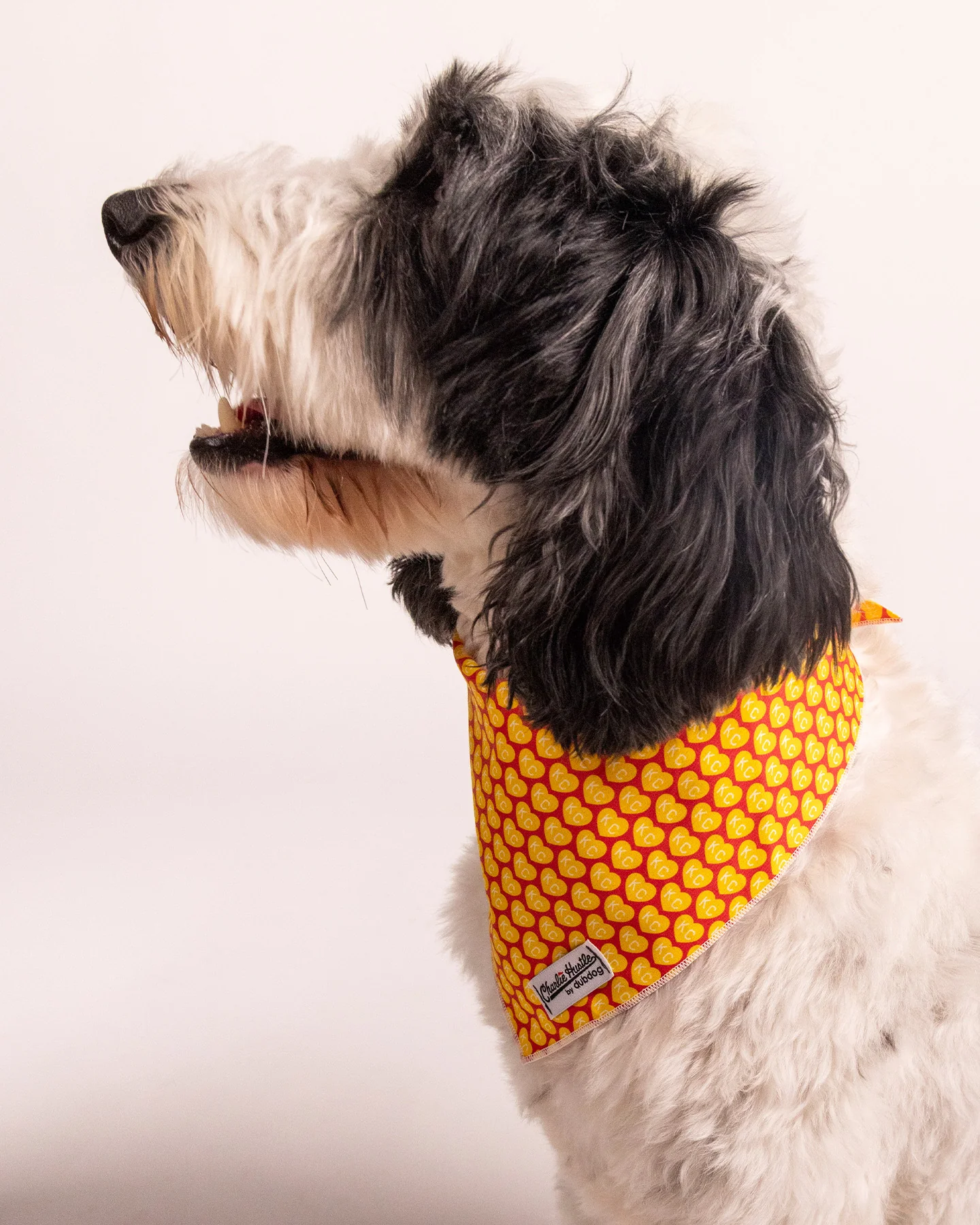 Gold KC Heart Dog Bandana - Image 6