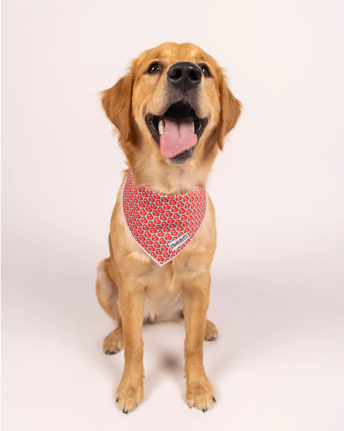 Red KC Heart Dog Bandana - Image 6