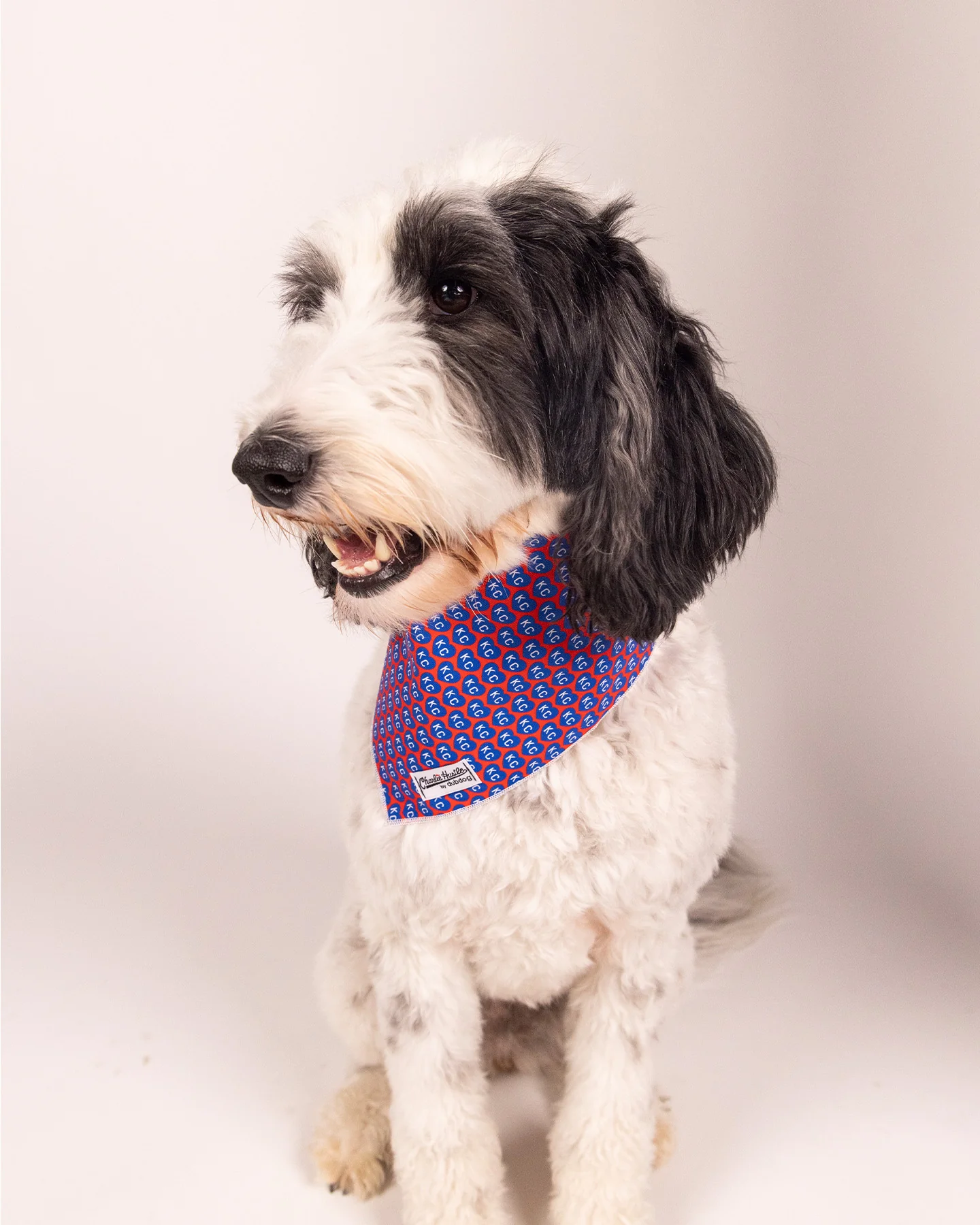 Blue KC Heart Red Dog Bandana - Image 2